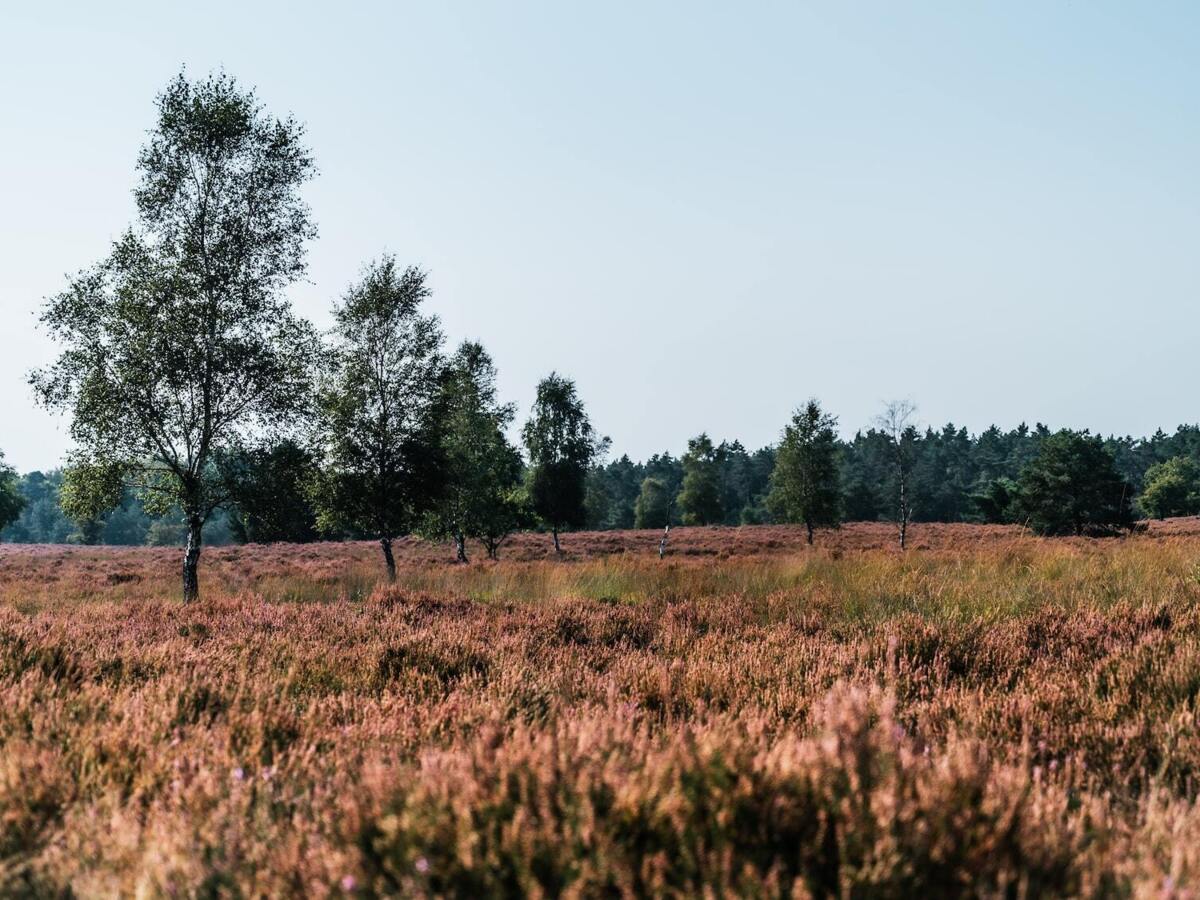 mike_van_den_bos_P_UaUw_Ni7g_unsplash_1_.jpg