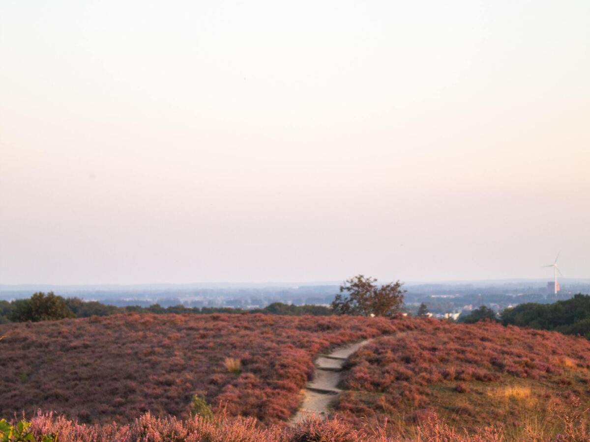 jonne_laagland_winder_ZuaqKwmxdM0_unsplash.jpg