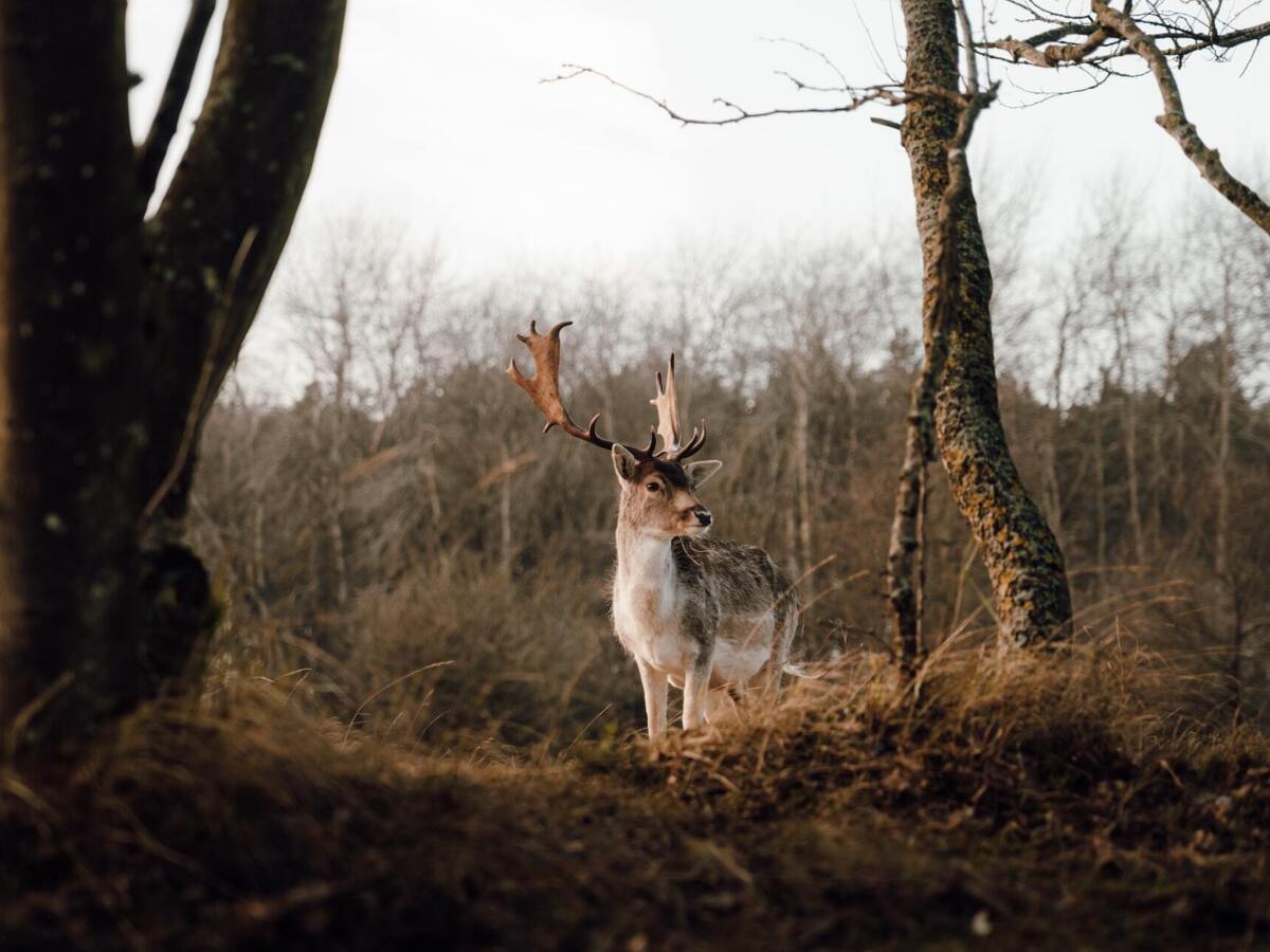 jorgen_hendriksen_nSUaXB2S_0Q_unsplash.jpg